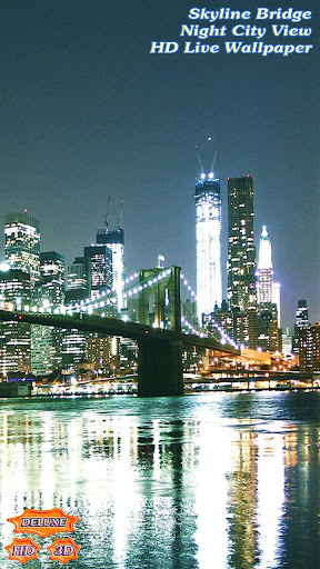 Skyline Bridge Night City View