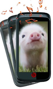 How to mod Pig Sounds Piggy Sounds Prank 4.1 unlimited apk for android