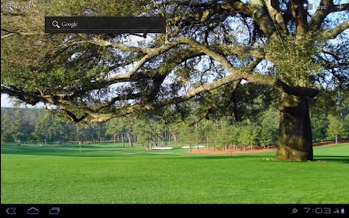 Download Augusta Wallpapers For Tablets APK