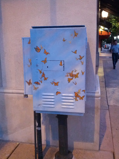 Butterfly Box