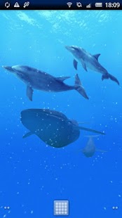 Cetacea Trial Screenshots 0