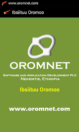 Flashlight - Ibsiituu Oromo poster 1