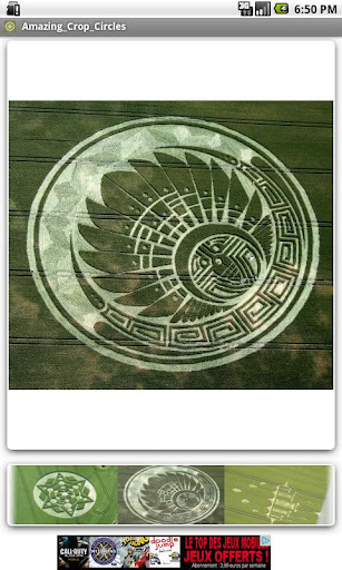 Amazing Crop Circles