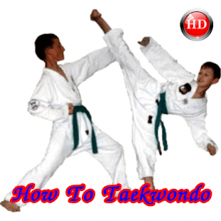 How to install How To Taekwondo lastet apk for pc