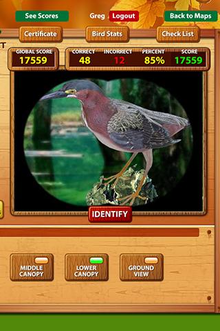 Virtual Birdwatcher