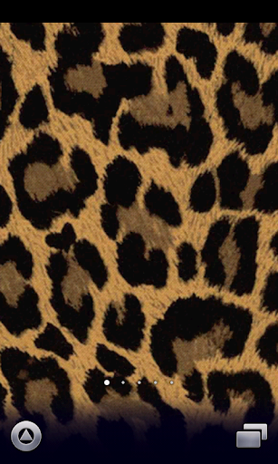 leopard pattern wallpaper