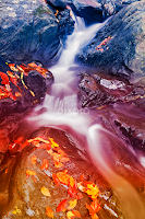 Glen Artney Fantasy Stream by Nicolas Raymond -  
