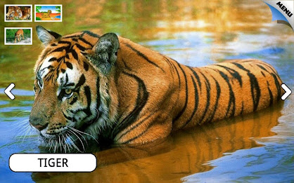 Zoo and Farm Animals for Kids poster 21