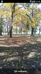 European Autumn Wallpaper poster 1