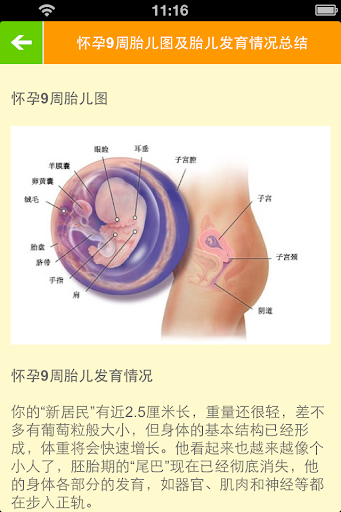 【免費生活App】怀孕知识大全-APP點子