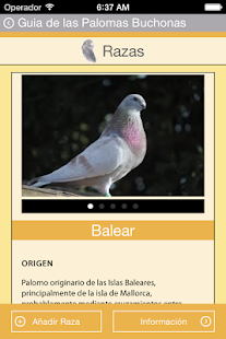 Guide Pouter Pigeons Screenshots 2