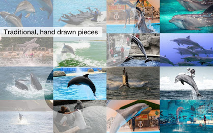 Dolphin Jigsaw Puzzles Demo poster 3