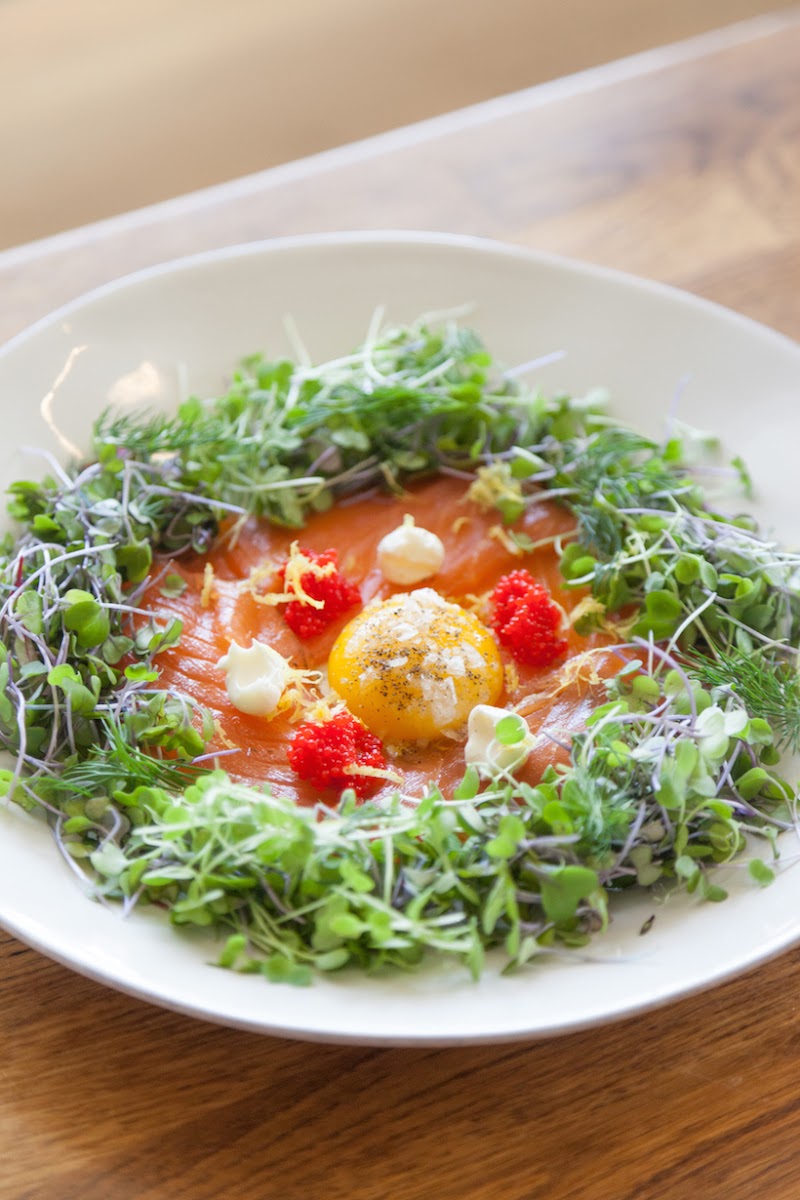 10 Best Mixed Green Salad with Salmon Recipes