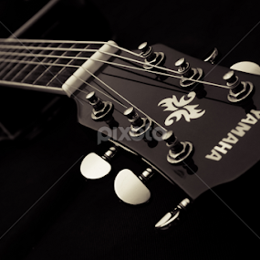 by Fendy Tjandra - Artistic Objects Musical Instruments