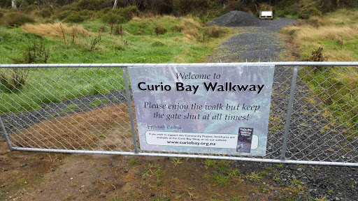 Welcome to the Curio Bay Walkway
