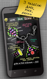 ayMolekula: Biology DNA free poster 6