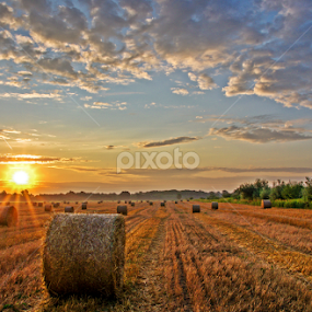 Sunrise by Zoran Rudec - Landscapes Prairies, Meadows & Fields