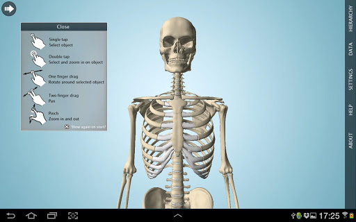 Anatomy 3D - Anatronica