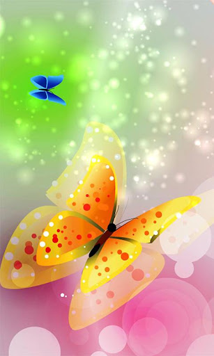 Colorful Butterfly Wallpaper