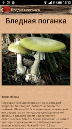 Nastolnaya mushroom book free poster 6