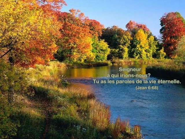 [Jn006068_Pensee_SemaineG640x4802.jpg]