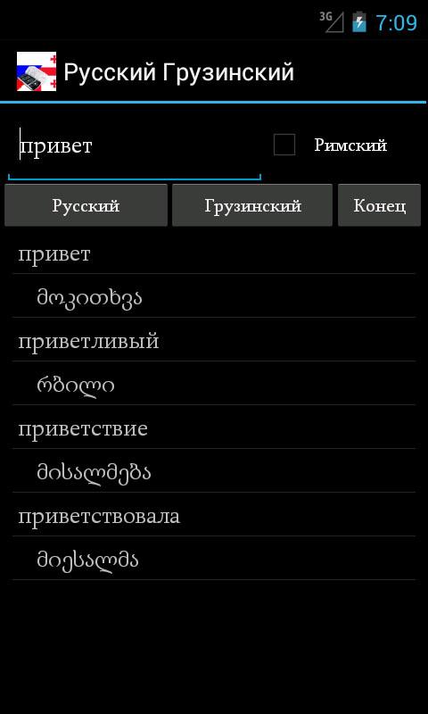 Georgian Russian Dictionary Screen 2