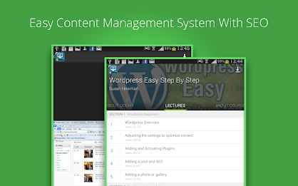 Learn Wordpress SEO poster 3