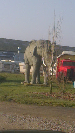 Elefant V Cirkusland