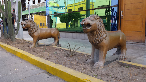 Lions of Gallese 