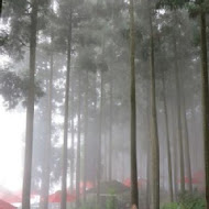 山上人家森林農場
