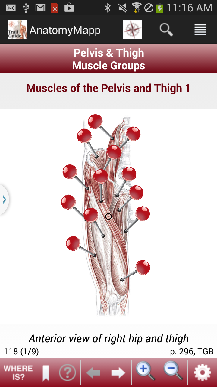 AnatomyMapp Screen 3