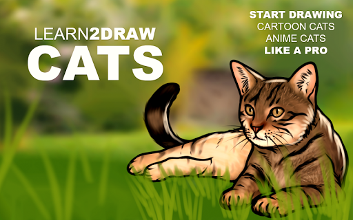 How to Draw Cats