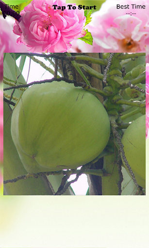 Coconut Puzzle