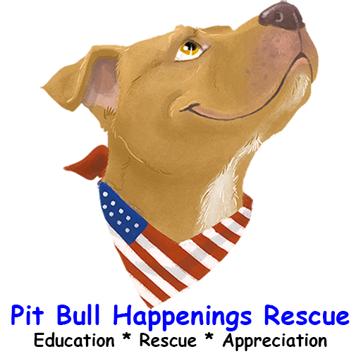 PBH Rescue LOGO-APP點子