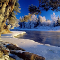 Winter Wallpapers logo