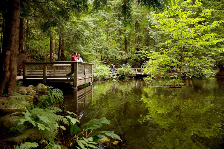 A trout pond in the rainforest at Capilano Suspension Bridge Park in Vancouver, British Columbia
