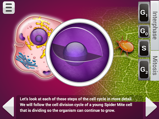 免費下載教育APP|Biology Mitosis & Meiosis L app開箱文|APP開箱王