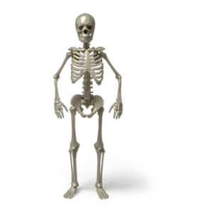 Body Organ Facts and Problems.apk 1.0