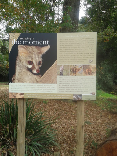 Engaging in the Moment Sign
