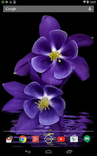 How to download Violet Animated Live Wallpaper patch 1.1.1 apk for pc