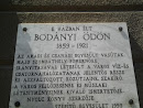 Bodanyi Odon