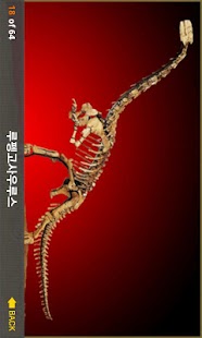 Free 신비한 공룡세계 APK