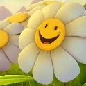 Cute wallpapers icon