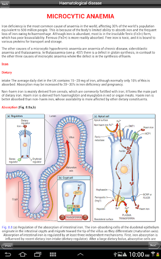 Clinical medicine