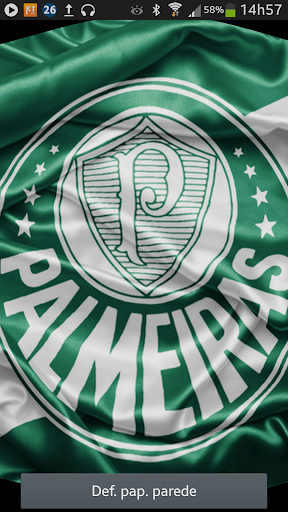 Bandeira Palmeiras 3D LiveWP