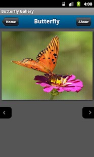 How to install Butterfly Photo Gallery 1.0 apk for pc