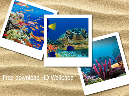 Free Under the sea HD Wallpaper APK