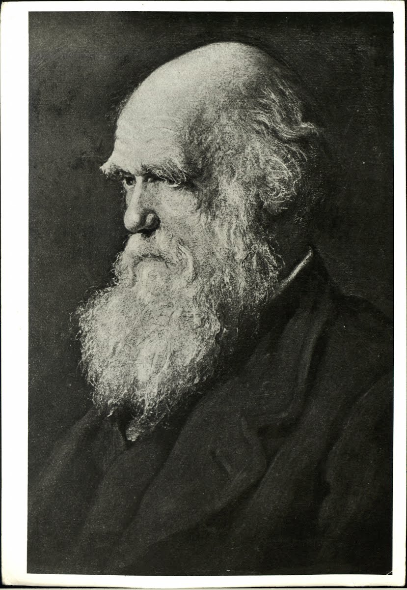 Charles Darwin — Google Arts & Culture