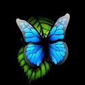3D blue Butterfly 2 logo