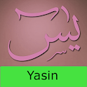 Yasin Free logo
